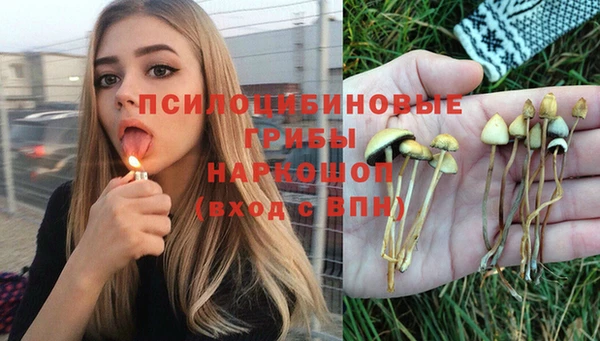 спайс Абинск