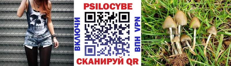 Псилоцибиновые грибы прущие грибы  OMG   Духовщина 